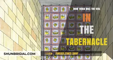 Unveiling the Tabernacle: Exploring the Thickness of the Veil's Mystery