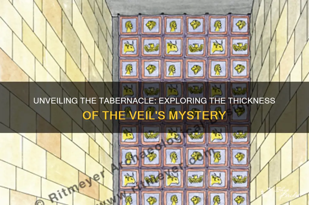 how thick was the veil in the tabernacle