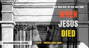 The Torn Veil: Unveiling the Thickness of Jesus' Death