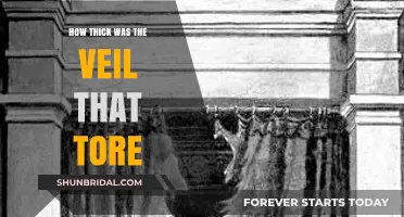 The Torn Veil: Unveiling the Depth of Its Thickness and Meaning