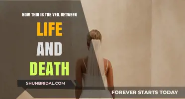 The Fragile Boundary: Exploring Life and Death's Thin Veil