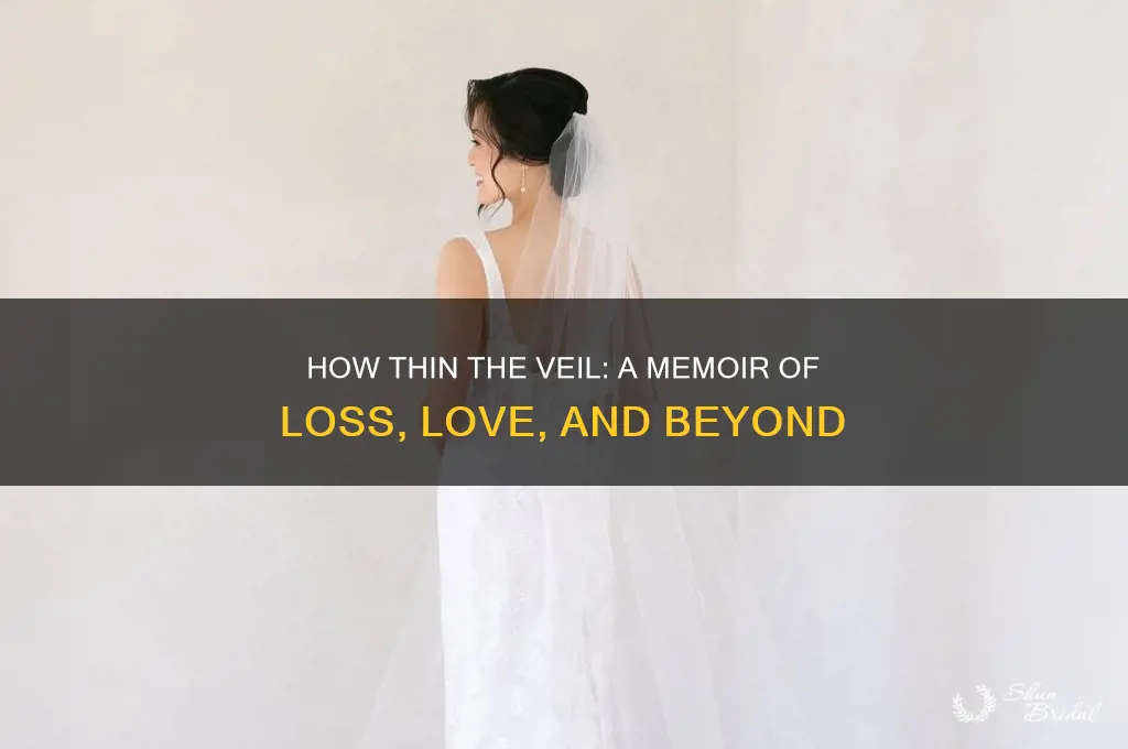 how thin the veil a memoi