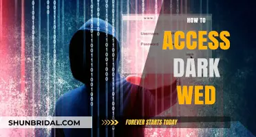 Exploring the Dark Web: A Step-by-Step Guide to Safe Access