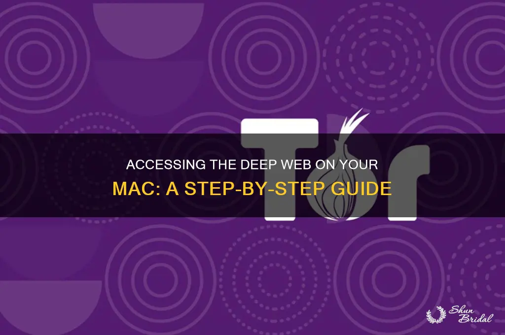 how to access the deep wed on your mac