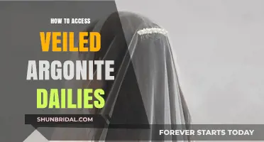 Unlocking Veiled Argonite Dailies: A Step-by-Step Access Guide