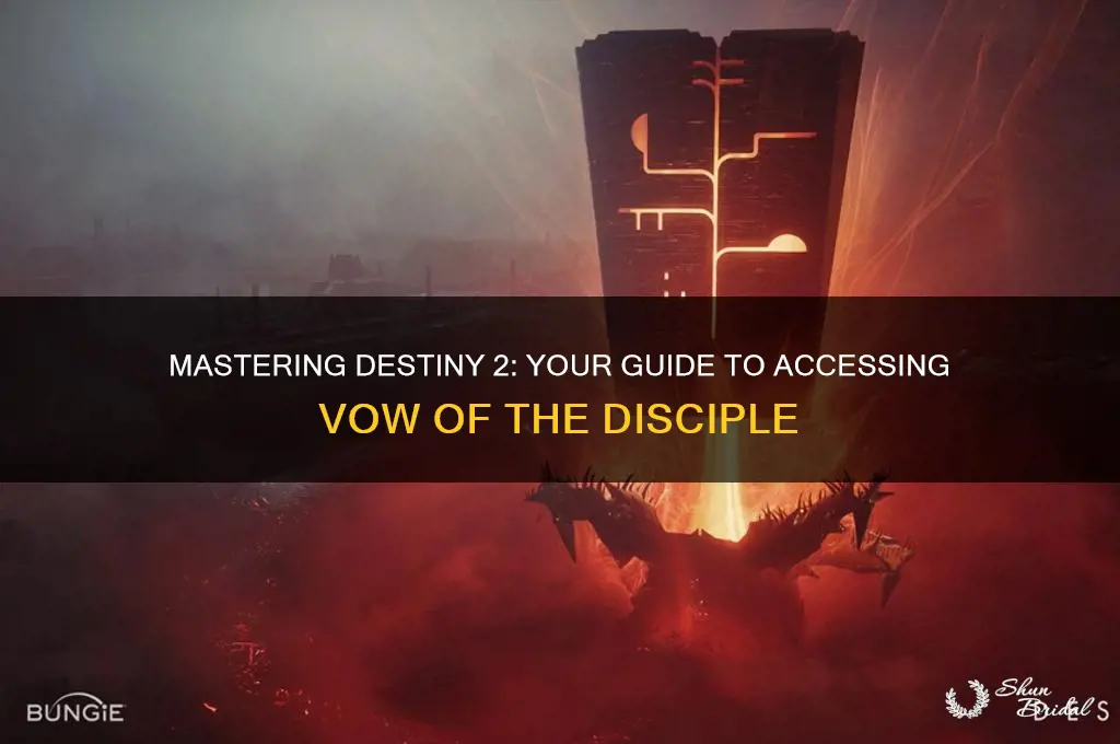 how to access vow of the disciple