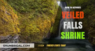 Unlocking Veiled Falls Shrine: A Step-by-Step Activation Guide