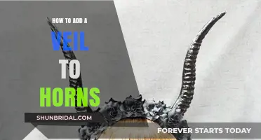 Enhance Your Horns: A Step-by-Step Guide to Adding a Veil