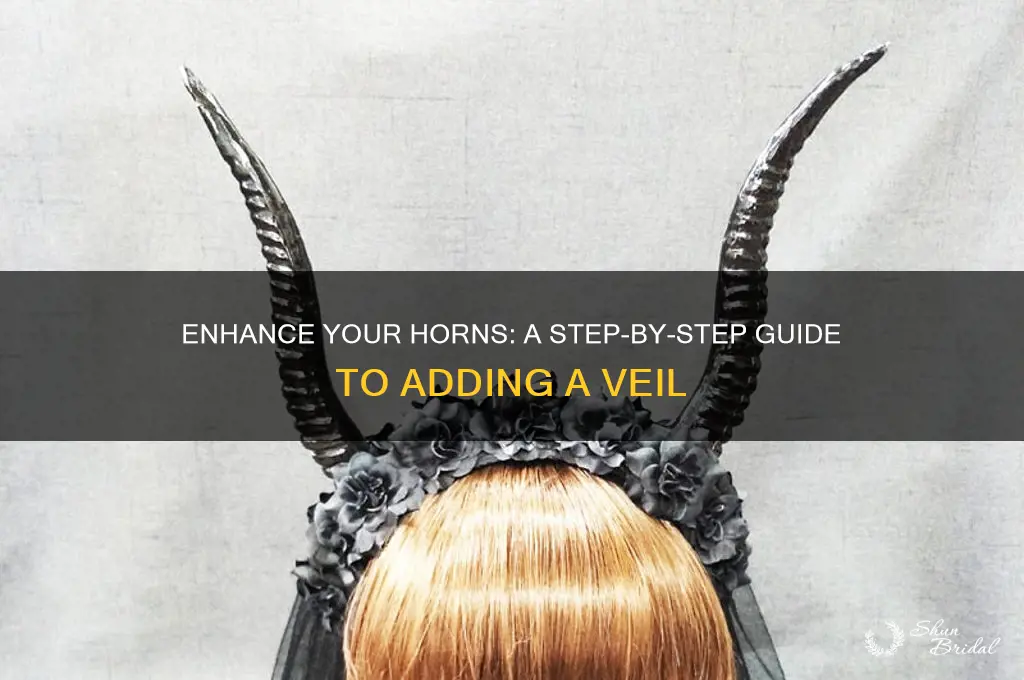 how to add a veil to horns