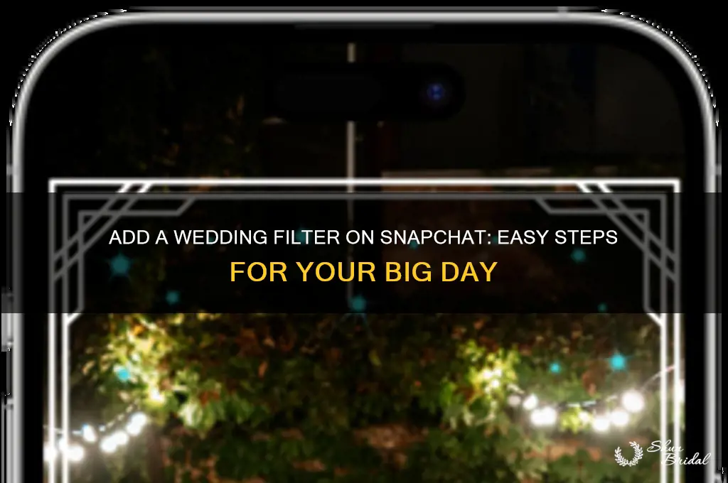how to add a wedding filter on snapchat