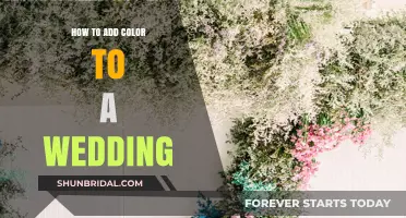 Vibrant Wedding Ideas: Adding Color to Your Special Day