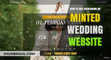 Adding a Countdown to Your Minted Wedding Website: A Step-by-Step Guide