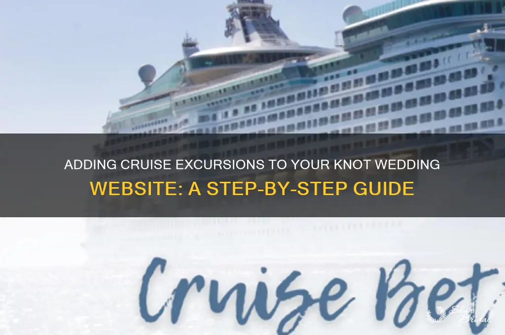 how to add cruise excursions to the knot wedding website