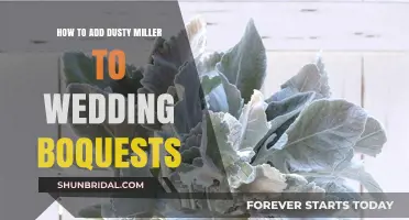 Elegant Dusty Miller: Enhancing Wedding Bouquets with Texture and Charm