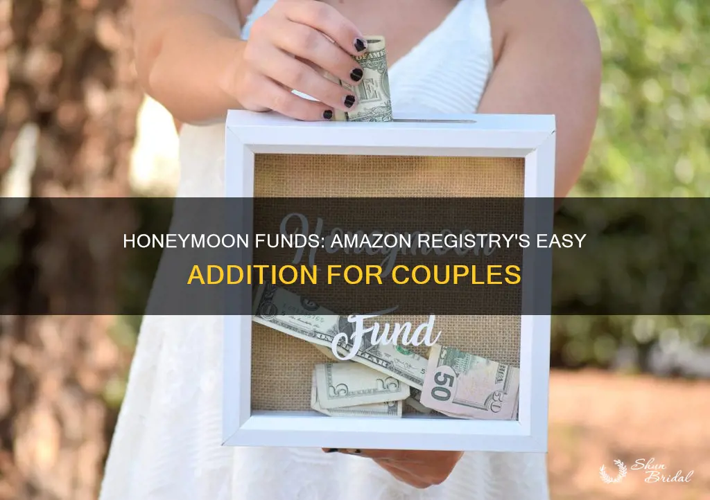 how to add honeymoon fund to amazon registry
