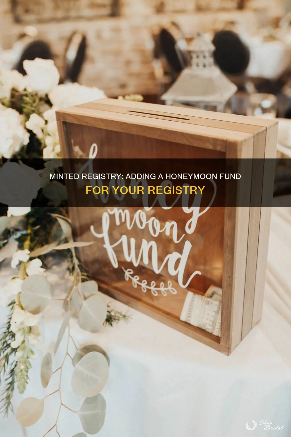how to add honeymoon fund to minted registry