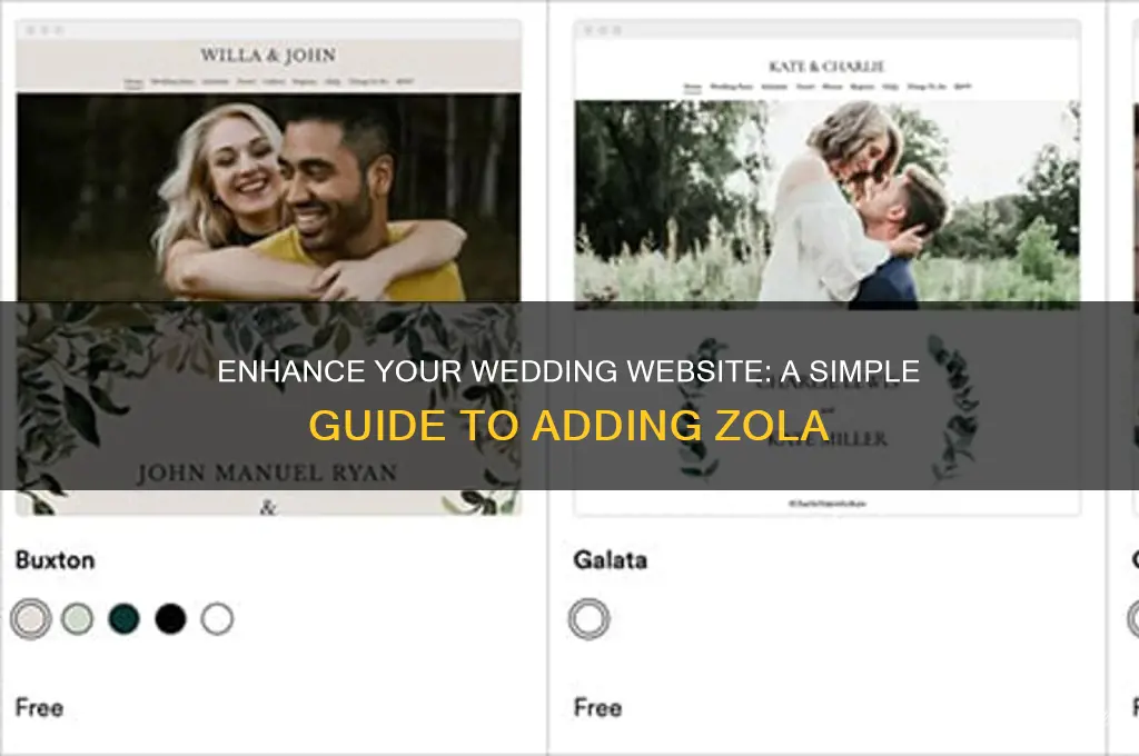 how to add zola to our wedding website
