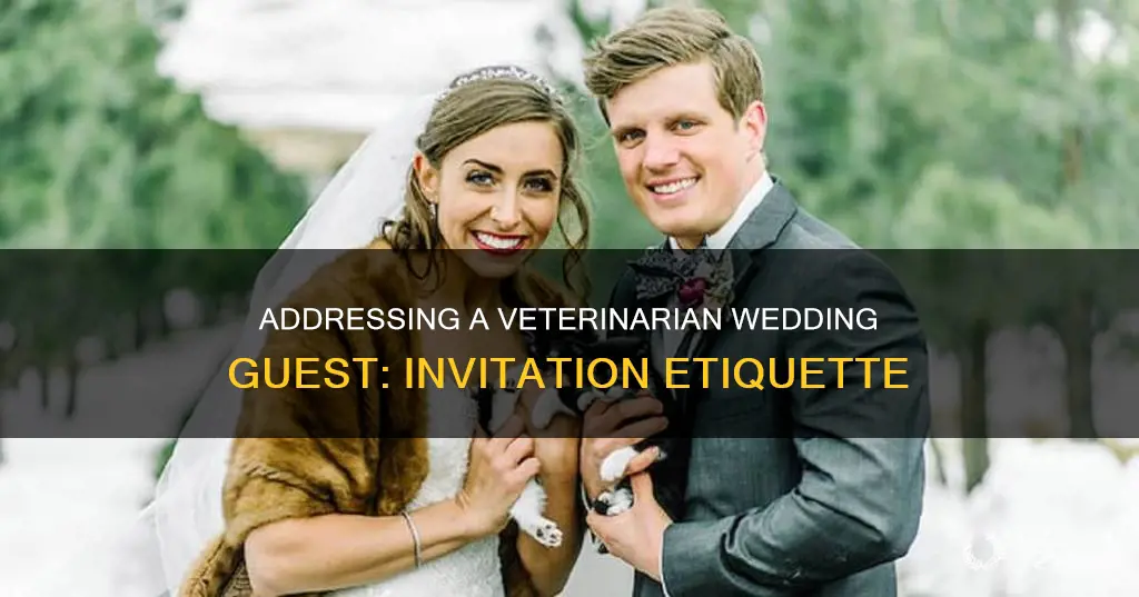 how to address a veterinarian on a wedding invitation