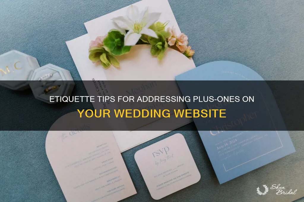 how to address plus ones on wedding website