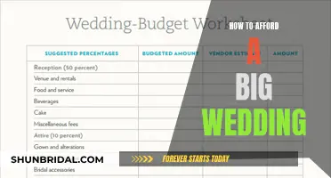 Big Wedding, Small Budget: Strategies for a Grand Celebration