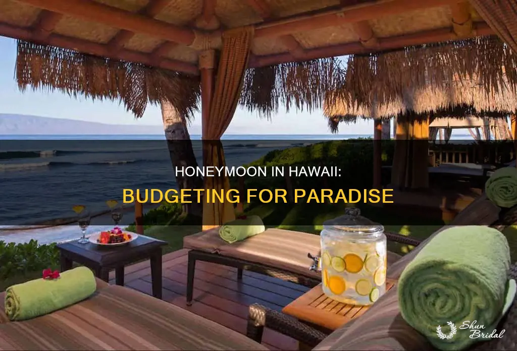 how to afford a honeymoon in hawaii