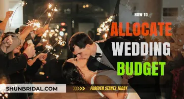 Smart Wedding Budget Allocation: Tips for a Stress-Free Financial Plan