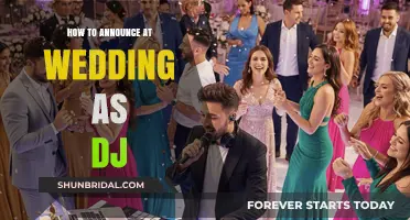 Mastering the Mic: DJ Tips for Perfect Wedding Announcements