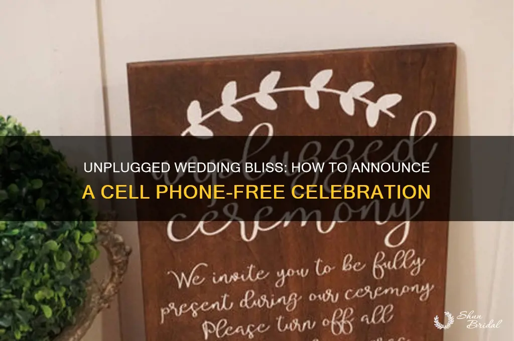 how to announce no cell phones during wedding