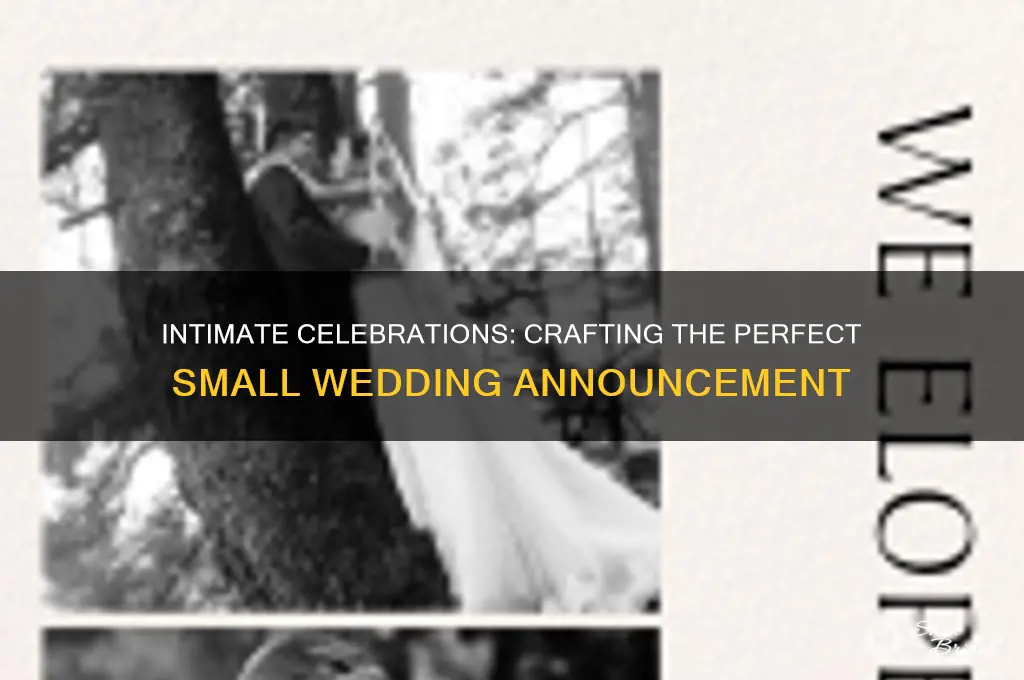 how to announce small wedding
