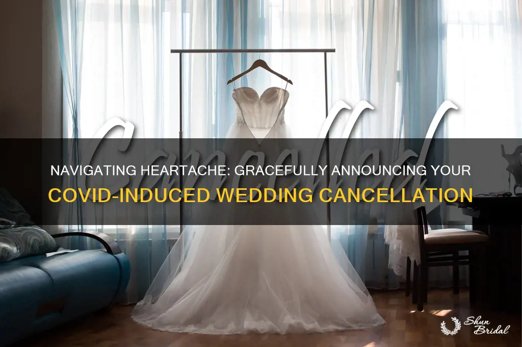 how to announce wedding cancellation due to covid