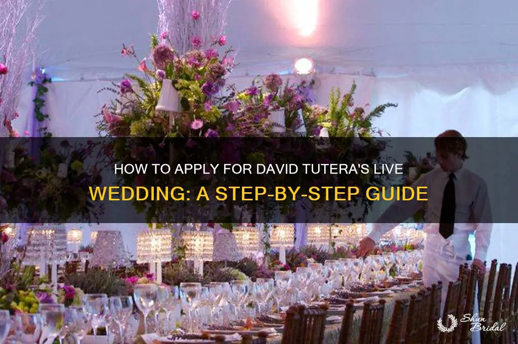 how to apply david tutera live wedding