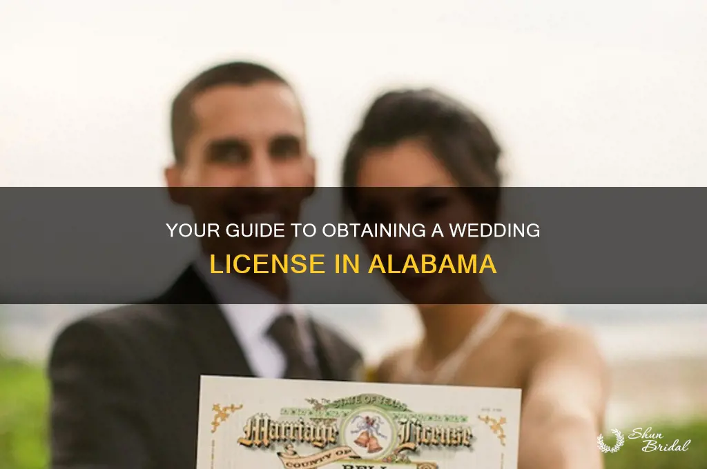 how to apply for a wedding license in alabama