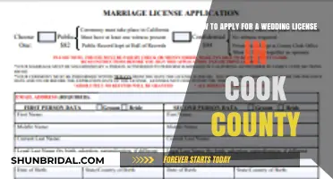 Your Cook County Wedding License Application Guide: Steps & Tips