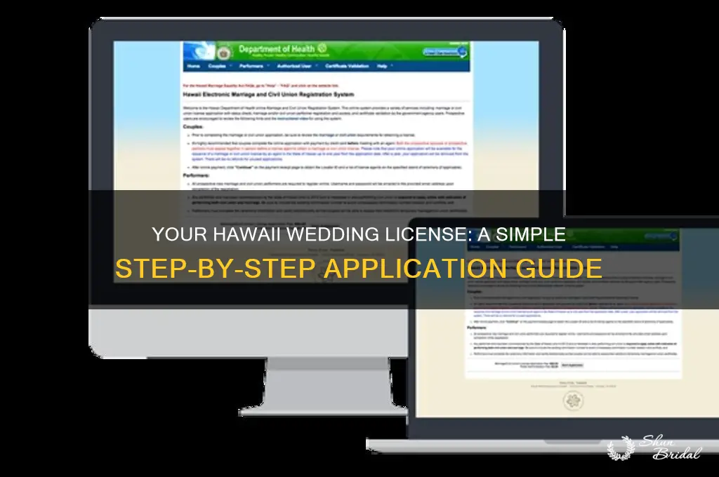 how to apply for a wedding license in hawaii