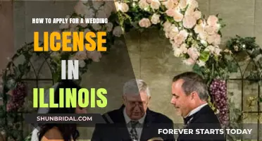 Illinois Wedding License Application: A Step-by-Step Guide for Couples