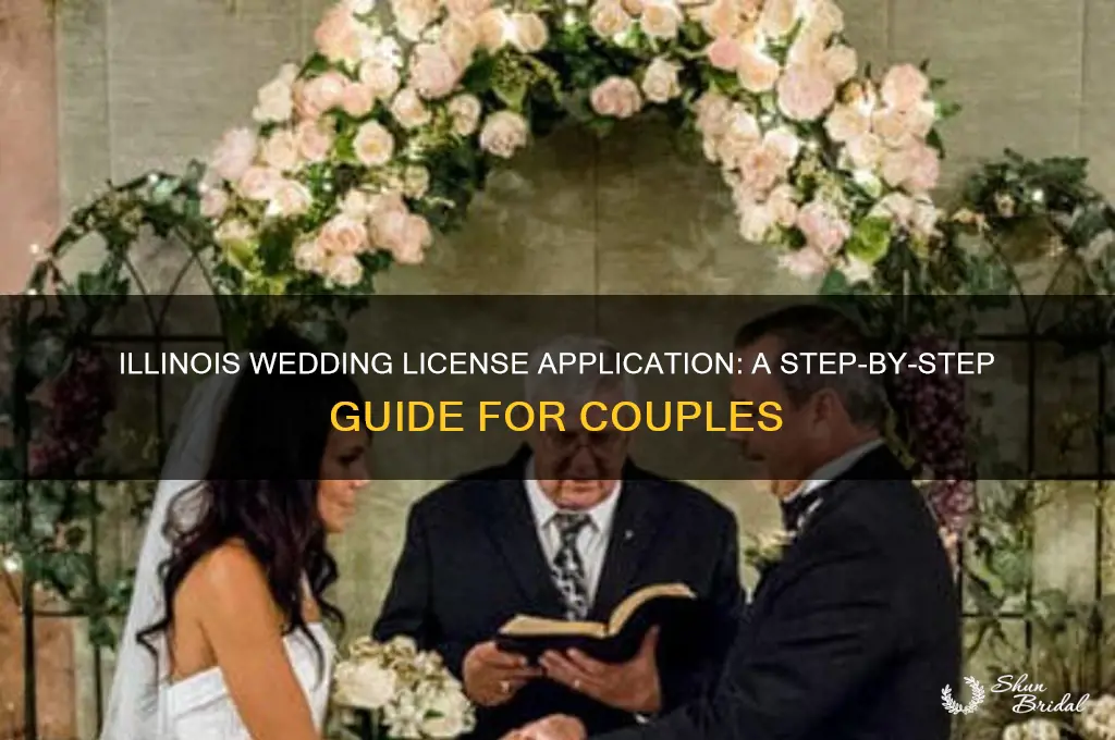 how to apply for a wedding license in Illinois