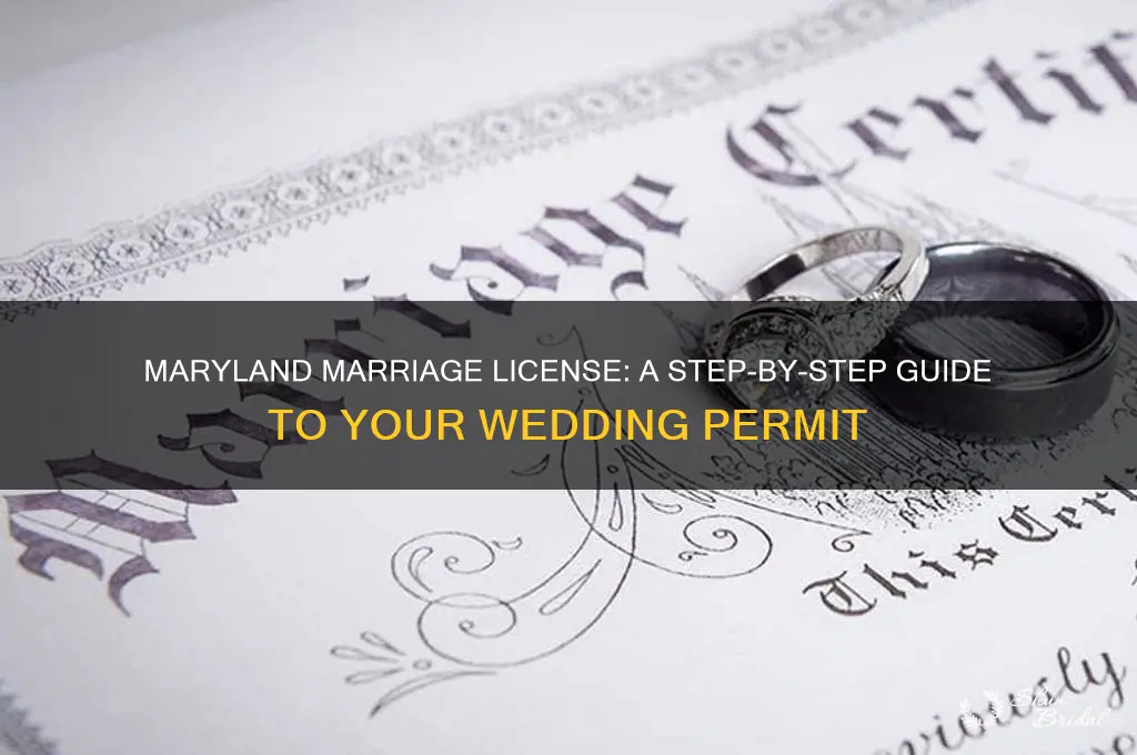 how to apply for a wedding license in maryland