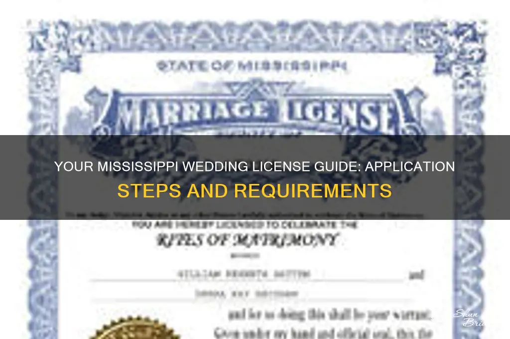 how to apply for a wedding license in mississippi