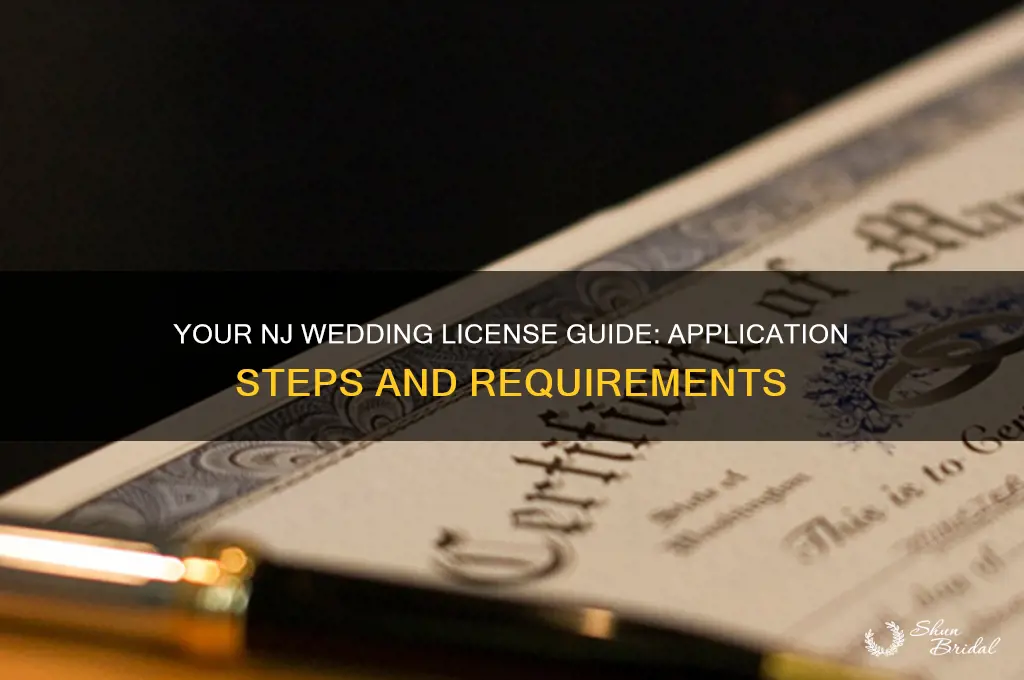 how to apply for a wedding license in nj