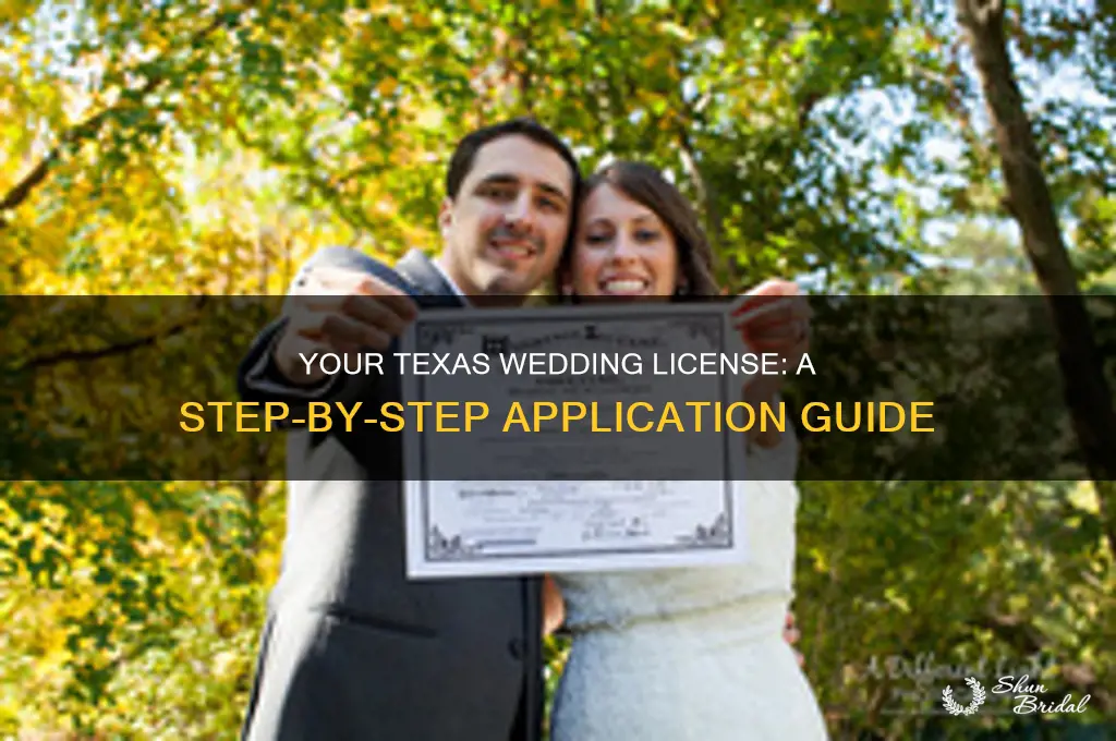 how to apply for a wedding license in Texas