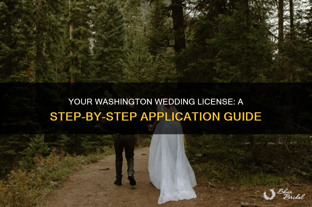 how to apply for a wedding license in Washington state