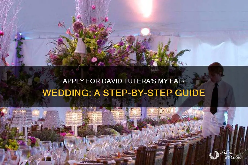 how to apply for david tutera my fair wedding