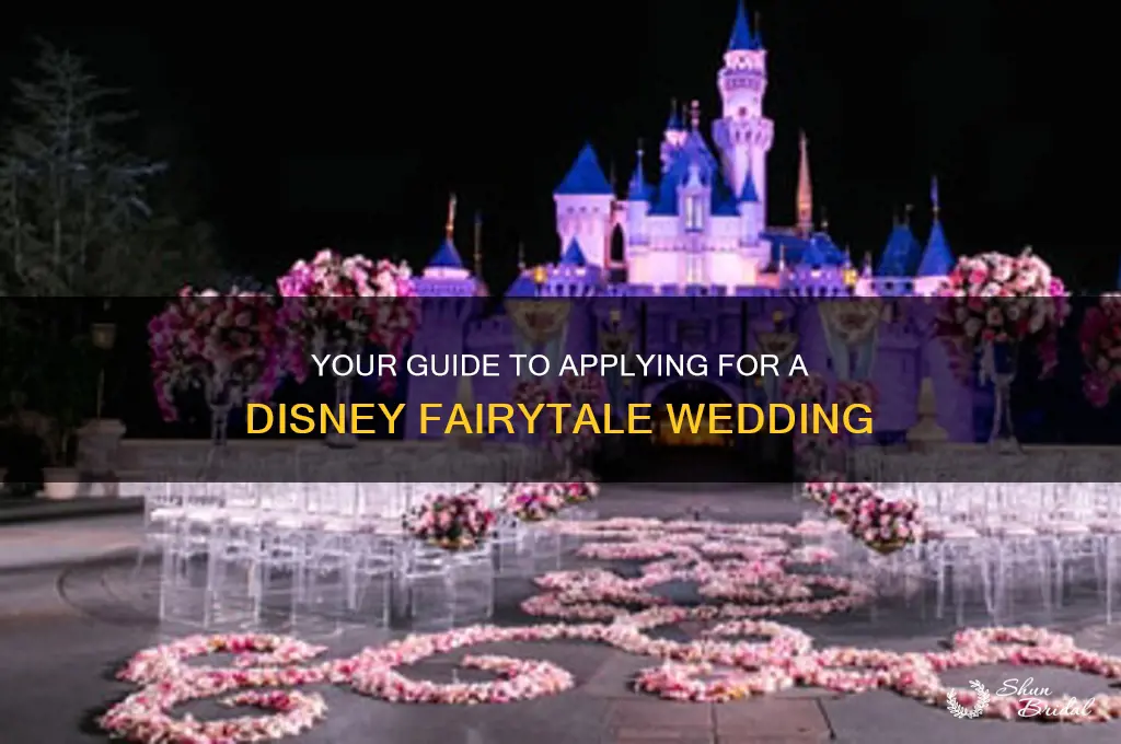 how to apply for disney fairytale weddings