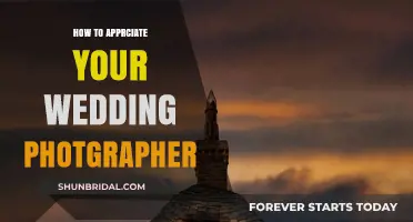 Honoring Your Wedding Photographer: Tips to Show Gratitude and Appreciation