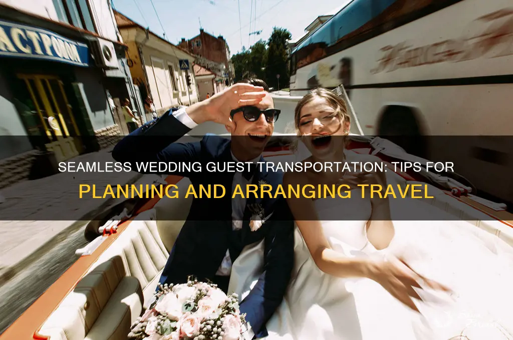 how to arrange transportation for wedding guests