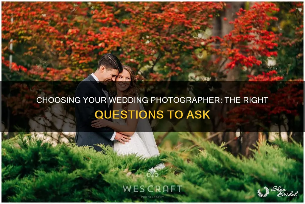 how to ask a photographer to do your wedding