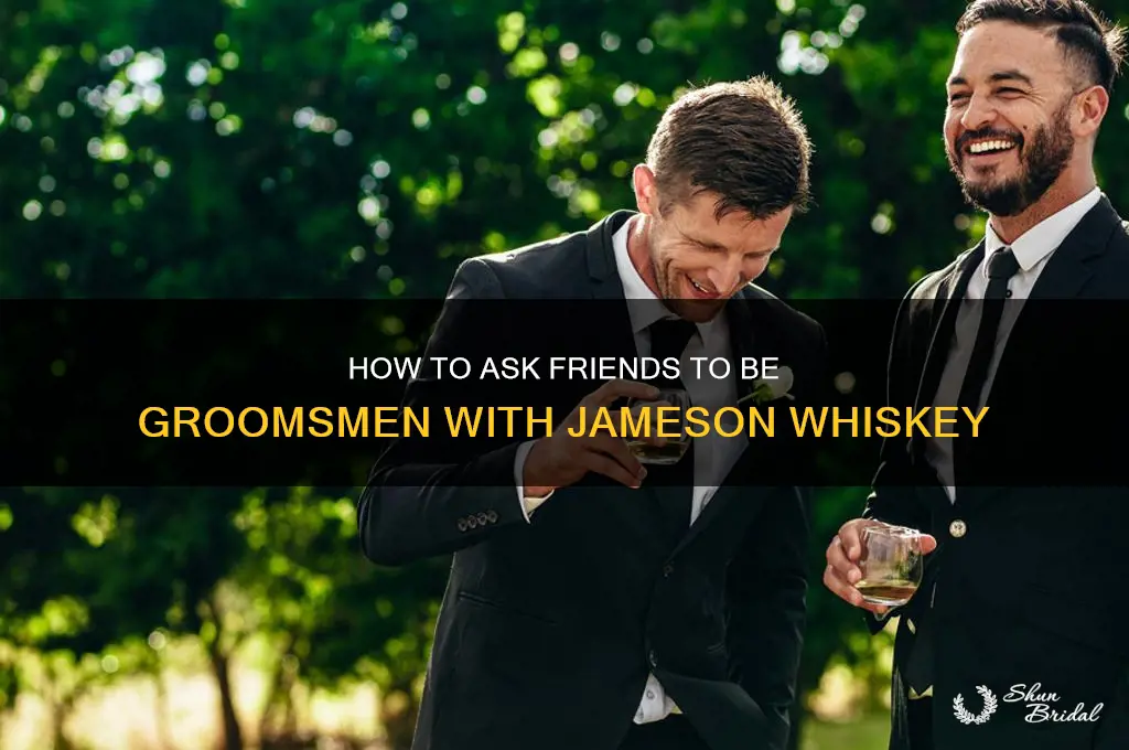 how to ask friends to be groomsmen jameson