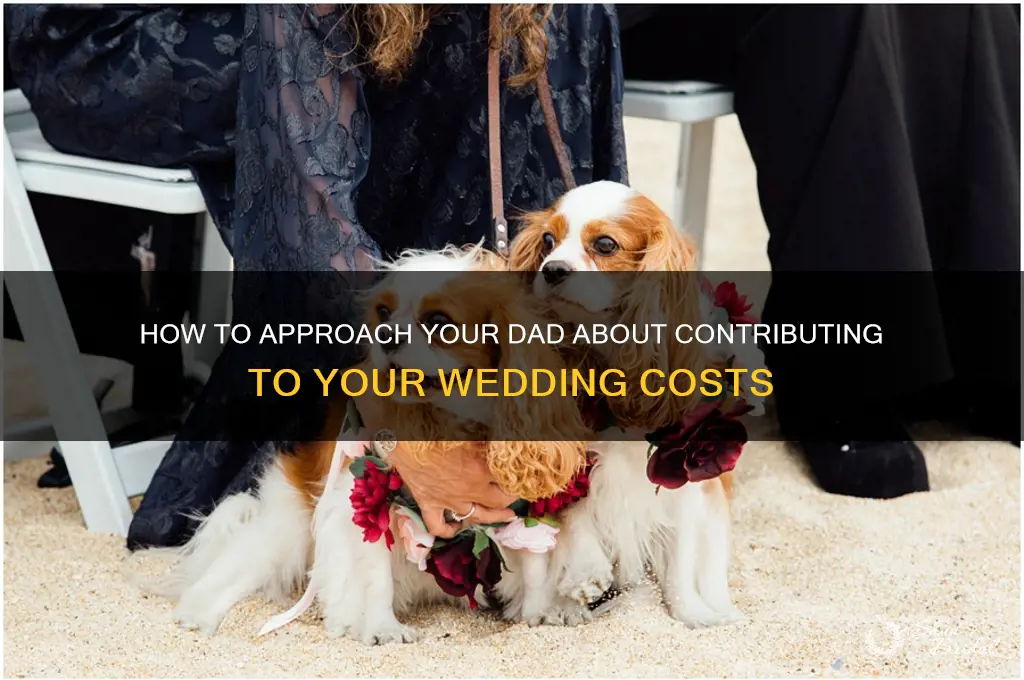 how to ask your dad to help pay for wedding
