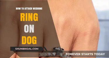 Attaching Wedding Rings: A Guide for Dogs