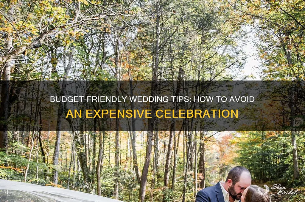 how to avoid an expensive wedding